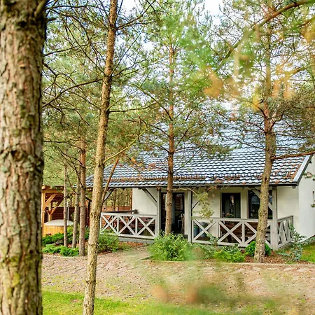 Lesne Zacisze * Стенжица